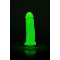 Empire Labs Glow In The Dark Clone A Willy Vibrating Penis Casting Kit