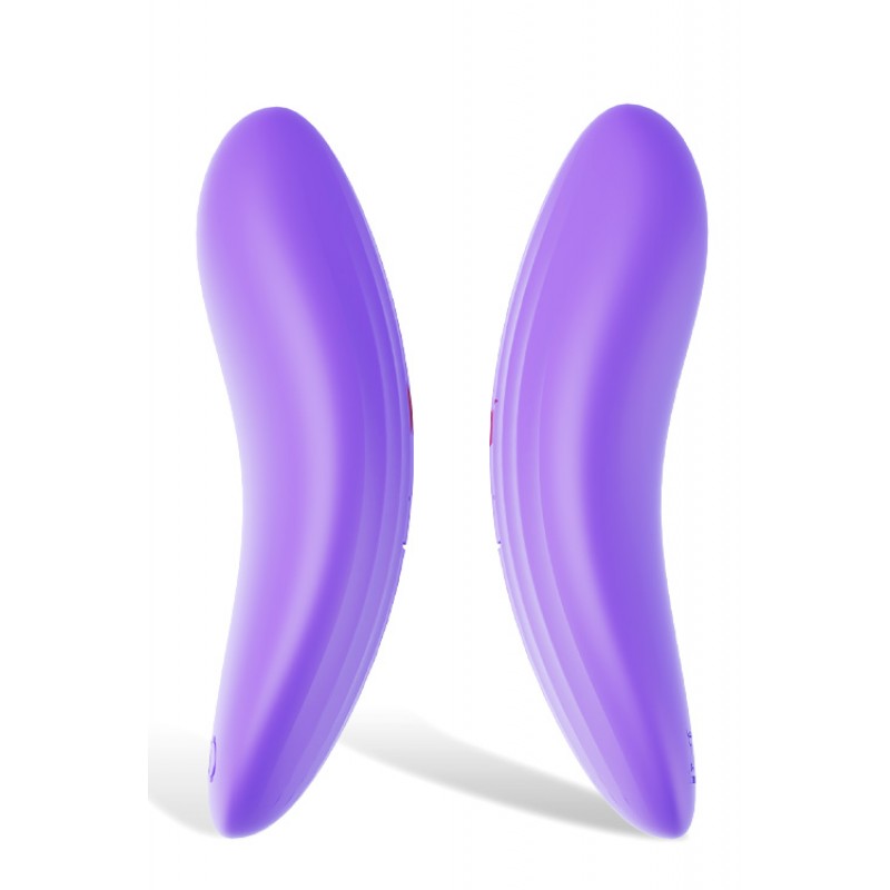 Wild Secrets Delight 3.75" Lay On Vibrator