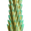 Creature Cocks Stegosaurus 7.6" Silicone Spiky Reptilian Monster Dildo