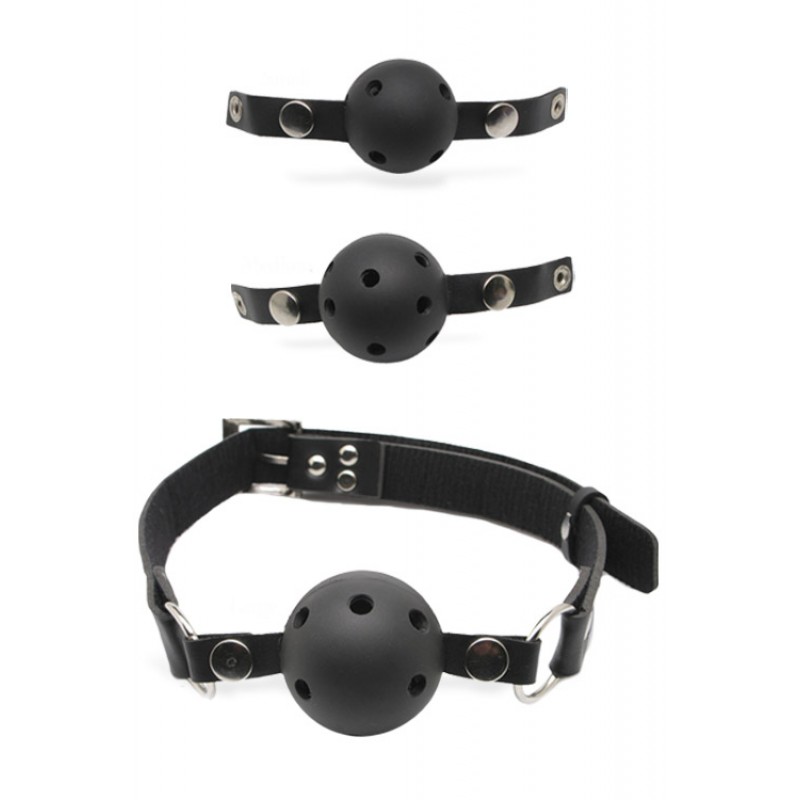 Pipedream Ball Gag Training System