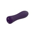 Nalone Ian 2 4.4" Pocket Vibrator