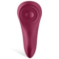 Satisfyer Sexy Secret App Compatible Panty Vibrator