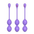 Wild Secrets Empower 7.5" Vibrating Kegel Balls